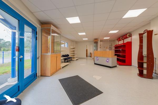 Immeuble à vendre |  Saint-Priest-de-Gimel |  250 m²