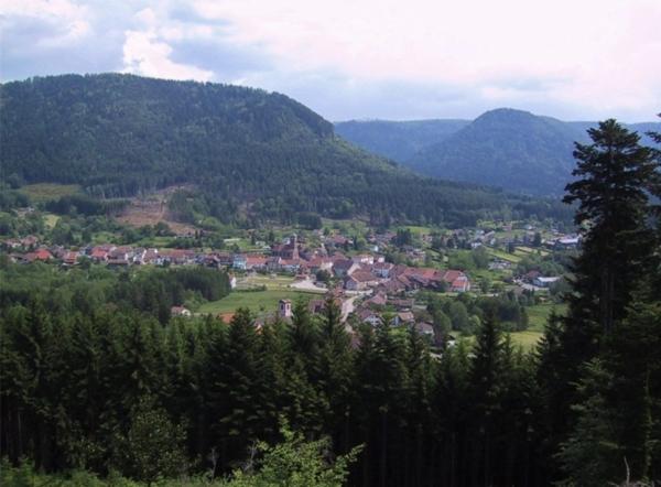 Immeuble à vendre proche SCHIRMECK - IMMEUBLE de 3 APPARTEMENTS T3 + 2 GARAGES