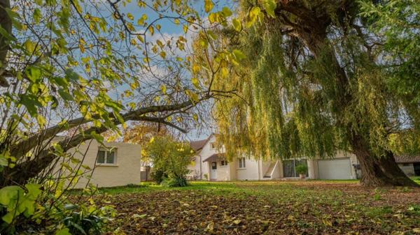 un havre de paix entre le centre-ville et la forêt