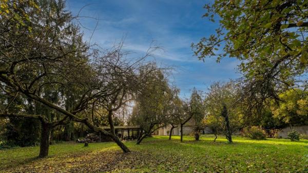 un havre de paix entre le centre-ville et la forêt