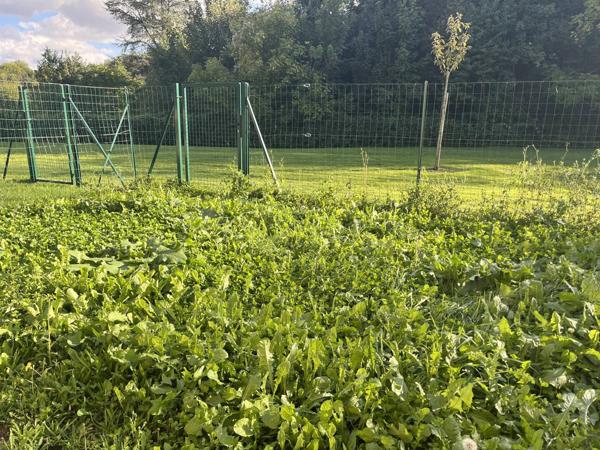 Achat appartement Fontenay-Trésigny - 1 pièce(s) - 28 m² - 140 000 €