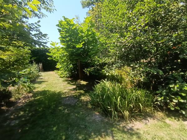 Maison 6 pièces 144 m² sur 2311 m² de terrain avec piscine Saint-Perdon (40090)