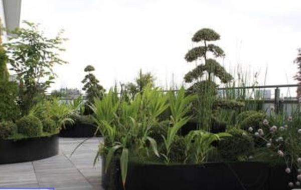 Vente Appartement P4 Attique-Place de l'Horloge Tassin-la-demi-lune   