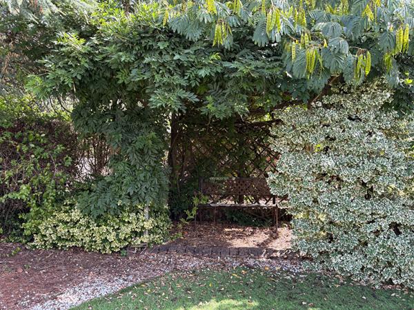 Maison Saint Hilaire De Riez 3 ch, garages, piscine