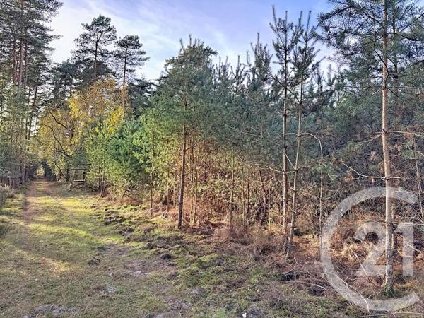 Maison à vendre  13 pièces - 289 m2 LAMOTTE BEUVRON - 41