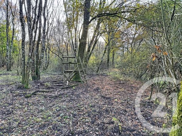 Maison à vendre  13 pièces - 289 m2 LAMOTTE BEUVRON - 41