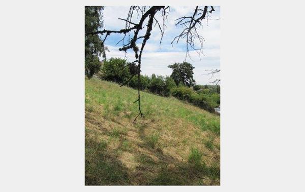 Vente Terrain Constructible Beaujeu   