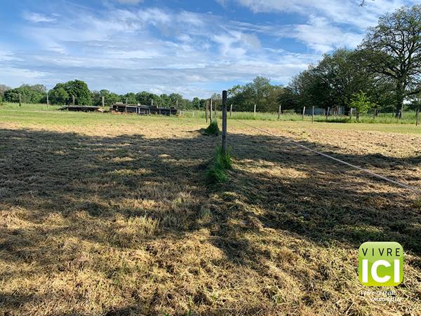 Terrain Le Pellerin 250 m2