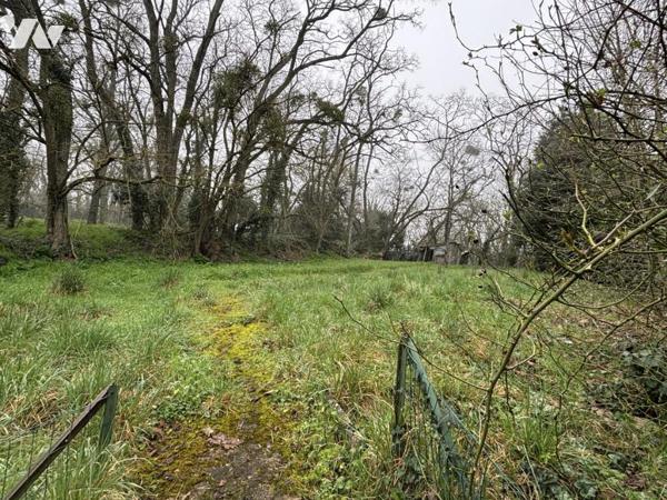 Vente Maison ancienne LES BOIS D'ANJOU (49250), Brion