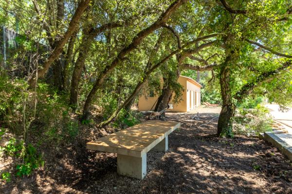 Maison  avec grand terrain pour chevaux