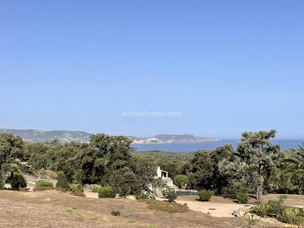 Vente Terrain 1953 m2 à Lumio