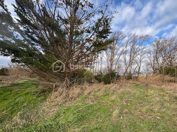 Terrain de loisirs de 3 066 m²