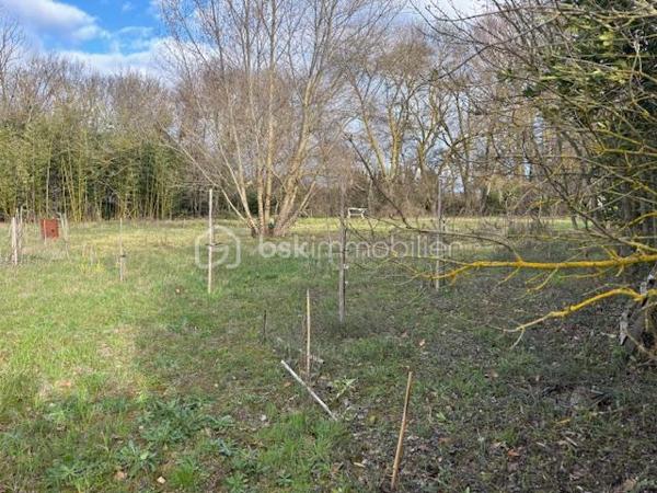 Terrain de loisirs de 3 066 m²