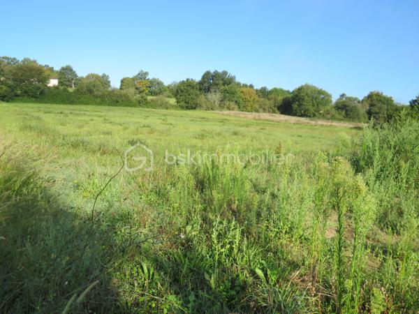 Terrain de 6 038 m²