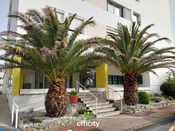 Appartement 3 pièces - 65 m² Exclusivité efficity