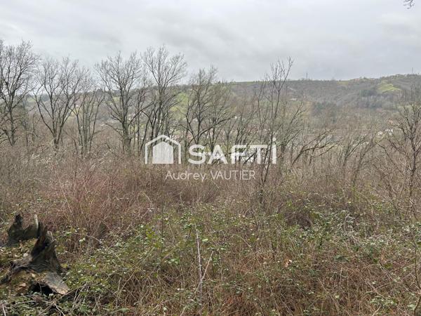 Terrains boisés a vendre