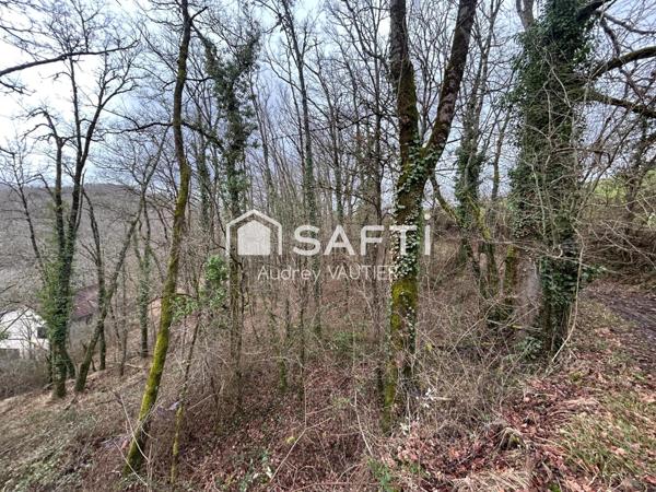 Terrains boisés a vendre