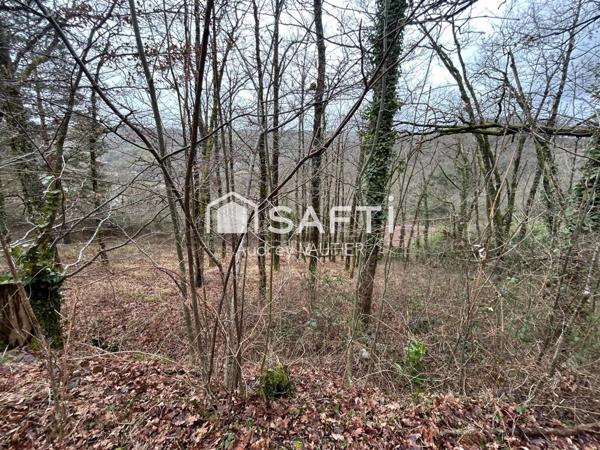 Terrains boisés a vendre