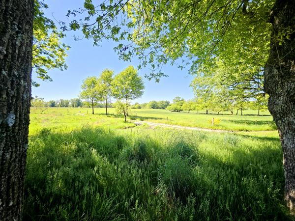 Vente / Corps de ferme