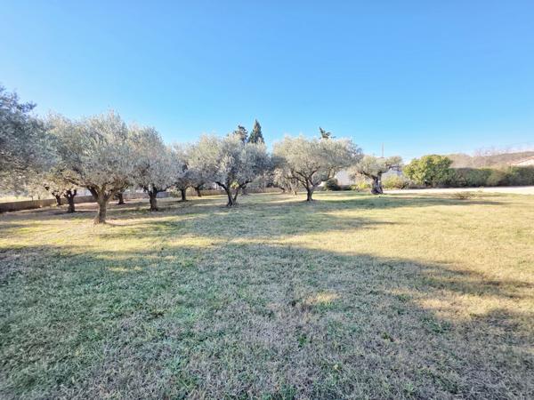 Beaucaire (30300) Maison de plain-pied avec grand espace vert