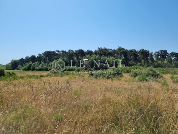 Exceptionnel domaine agrocynégétique de 280 hectares aux portes de la Sologne