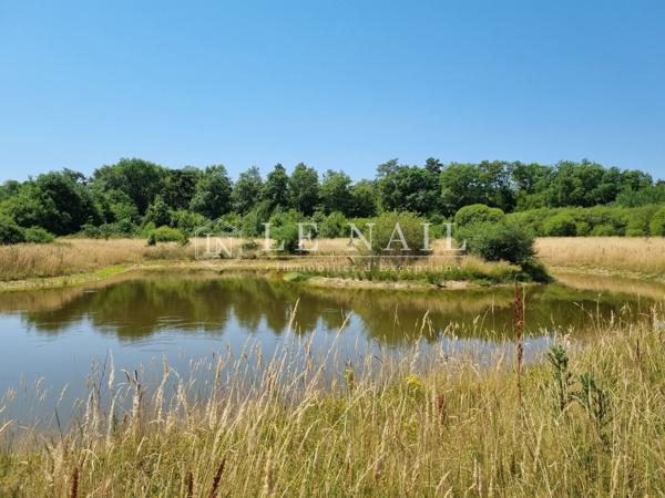 Exceptionnel domaine agrocynégétique de 280 hectares aux portes de la Sologne