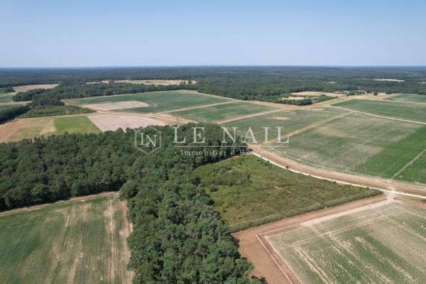 Exceptionnel domaine agrocynégétique de 280 hectares aux portes de la Sologne