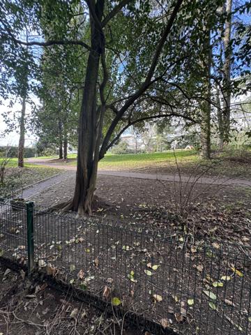 Caluire-et-Cuire (69300) T2 coup de cœur à Caluire-et-Cuire