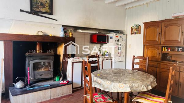 Au pied des Pyrénées cathares – maison chaleureuse