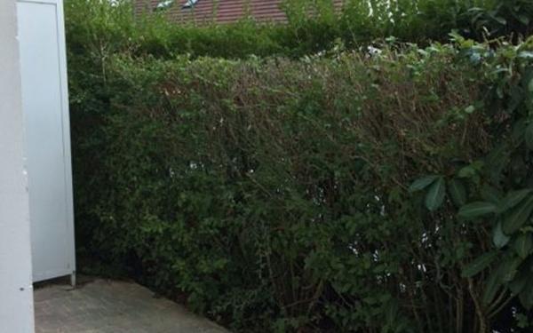 Appartement à louer    1 pièce •  Longperrier