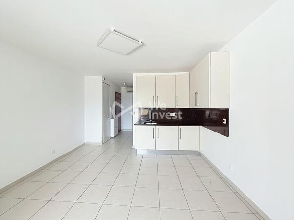 Appartement T2 avec terrasse et garage