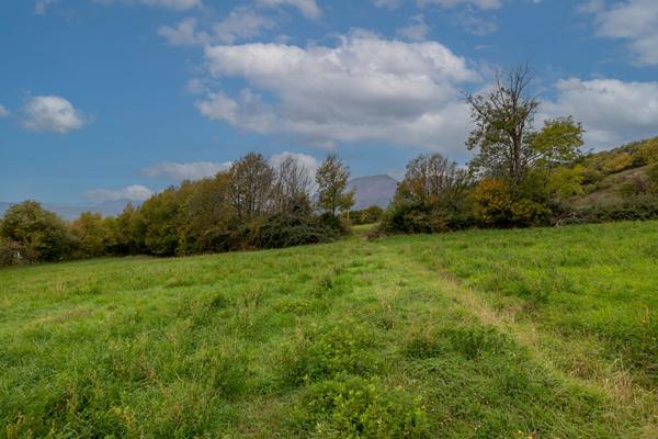 Terrain 493 m2