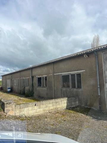 Vente / Local Industriel / Bâtiment