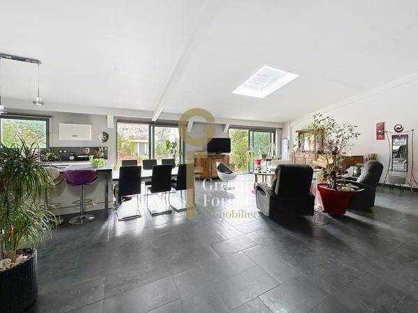 HABITATION ATYPIQUE STYLE LOFT AVEC OU SANS PARTIE COMMERCIALE