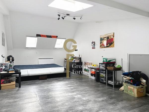 HABITATION ATYPIQUE STYLE LOFT AVEC OU SANS PARTIE COMMERCIALE