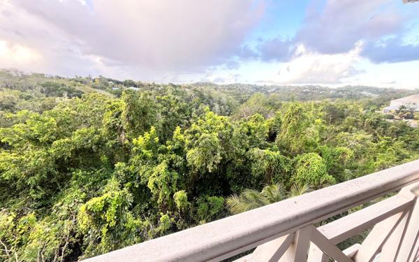 Immeuble à vendre    16 pièces •  Sainte-Anne