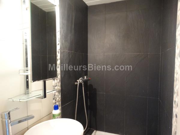 appartement 33m2 avec cave et jardin collectif