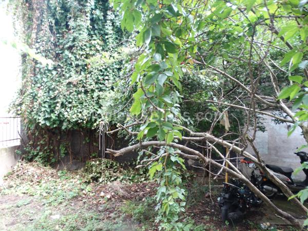 appartement 33m2 avec cave et jardin collectif