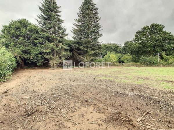 Achat terrain près de MERDRIGNAC - 1163 m² - 51 000 €