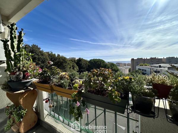 Appartement 63.5 m² à Bastia 20600