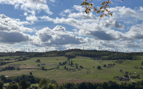Terrain à vendre    Tersanne
