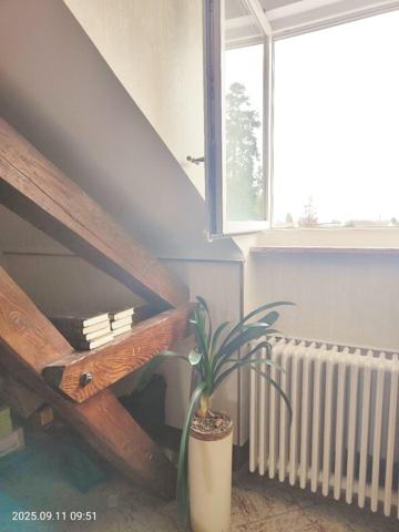 AU PIED DU SALBERT EN IMPASSE