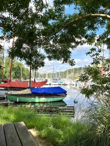 Charmant T3 56m2, Port de La Roche Bernard à 50m!