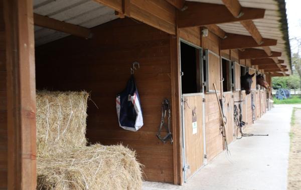 Vente Propriété équestre Pamiers   