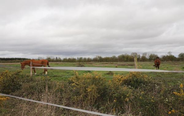 Vente Propriété équestre Pamiers   