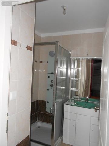 Appartement à louer à Amilly dans le Loiret (45200), ref : 45052-L285