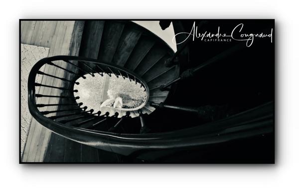 Maison à vendre 9 pièces DOURGNE (81) - 307 m² grand jardin clos piscine et dépendance