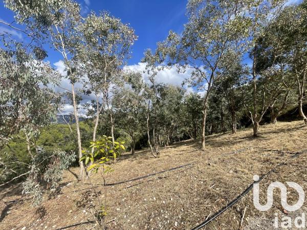 Terrain à vendre 10 100 m² Nice