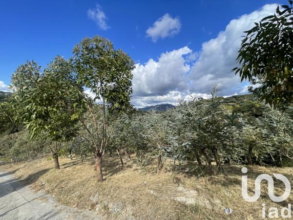 Terrain à vendre 10 100 m² Nice