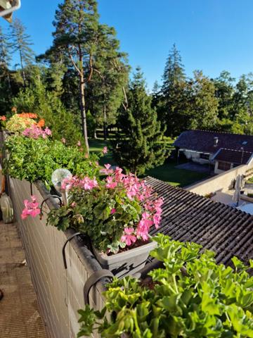 Dpt Vosges (88), à vendre proche de CONTREXEVILLE immeuble de 5 APPARTEMENTS accès PARC THERMAL